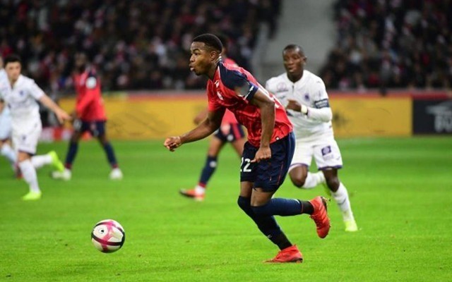 普利希奇无 普利希奇无