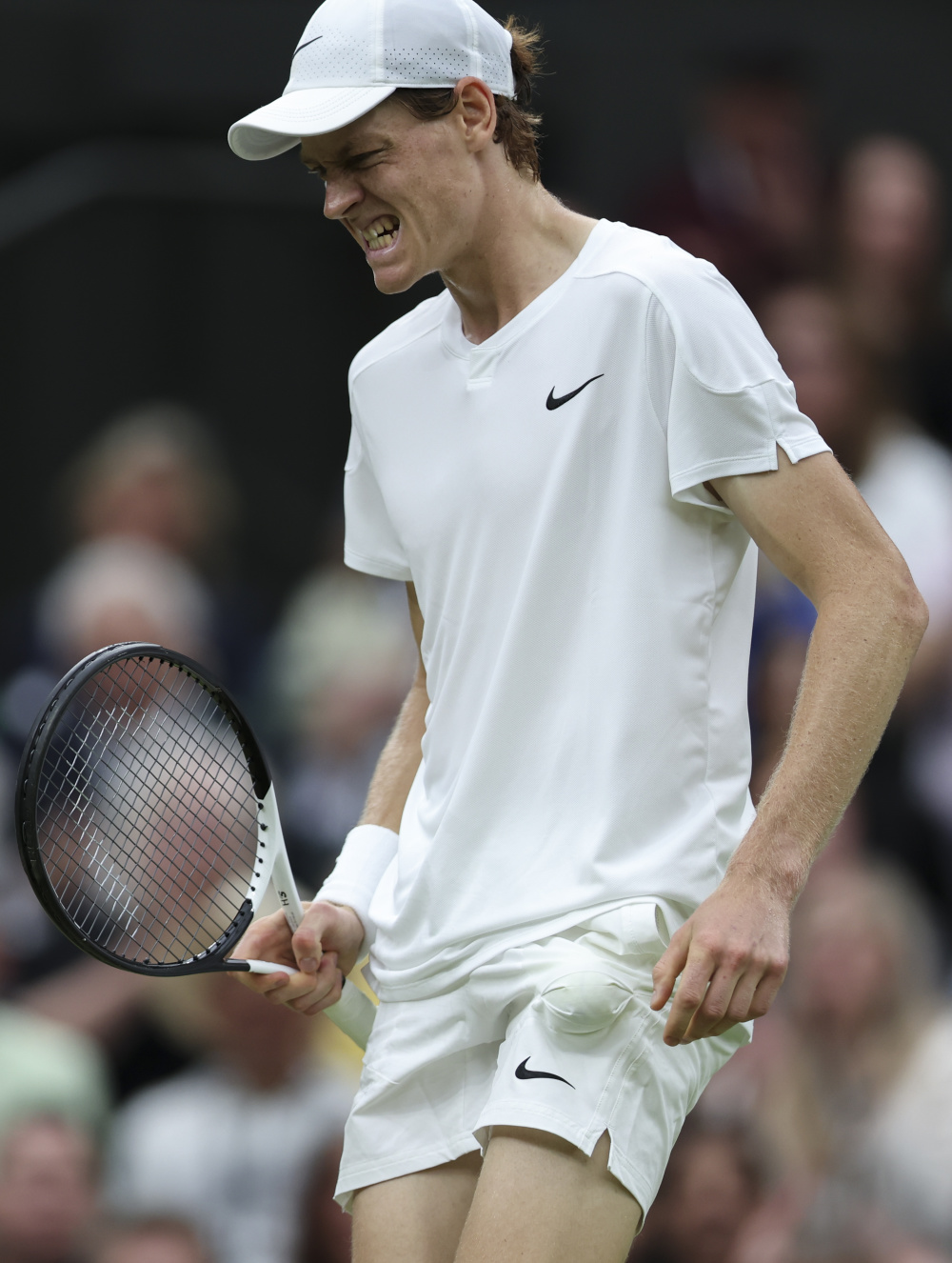 年轻球迷的 年轻球迷的