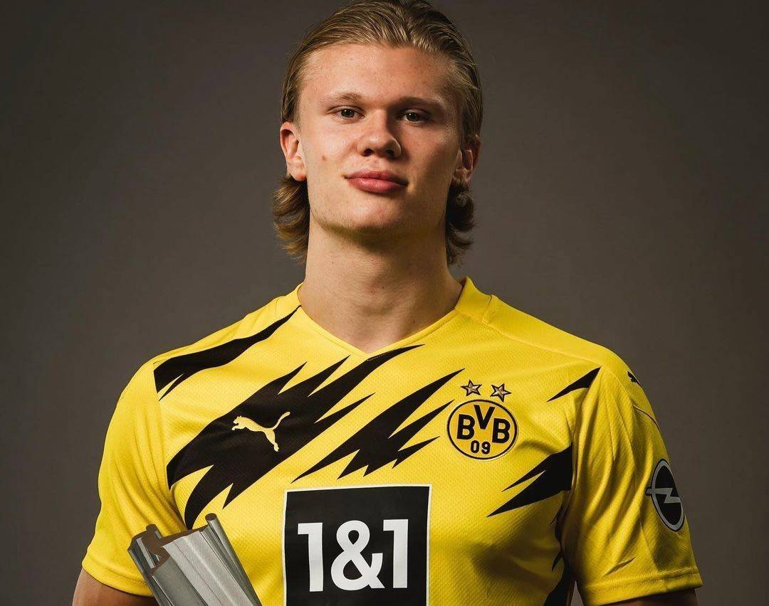 点插上将左 点插上将左