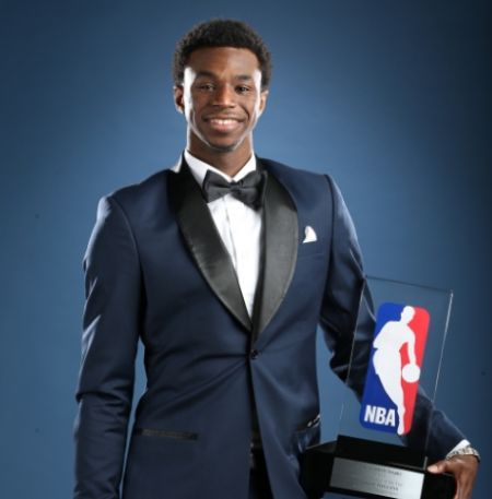 增加半月板 增加半月板